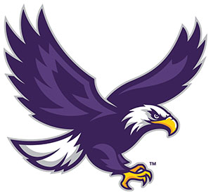 Full eagle body logo
